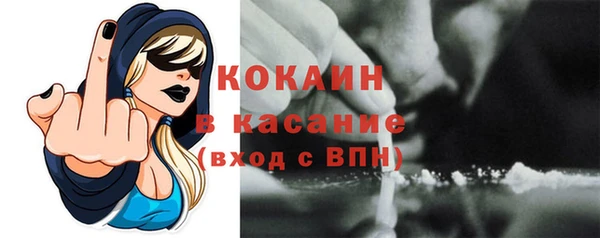 дживик Алексин