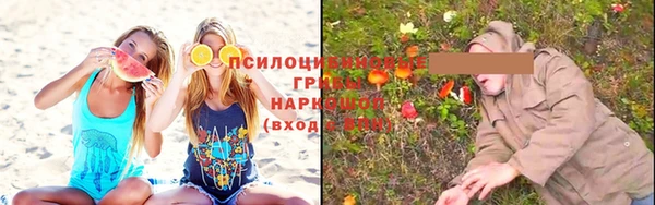 дживик Алексин