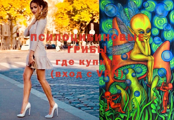 первитин Алексеевка