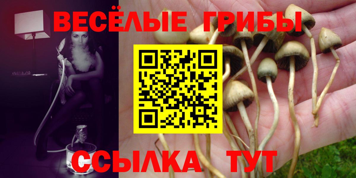 Псилоцибиновые грибы ЛСД Солнечногорск
